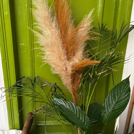 Lovely With Rooftop View