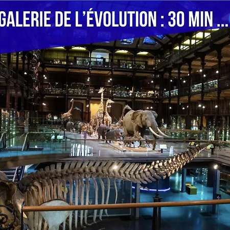 Lovely With Rooftop View شقة باريس