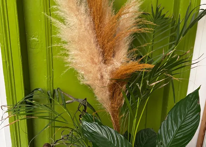 Lovely With Rooftop View