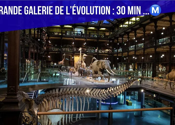 Lovely With Rooftop View Apartment Paris